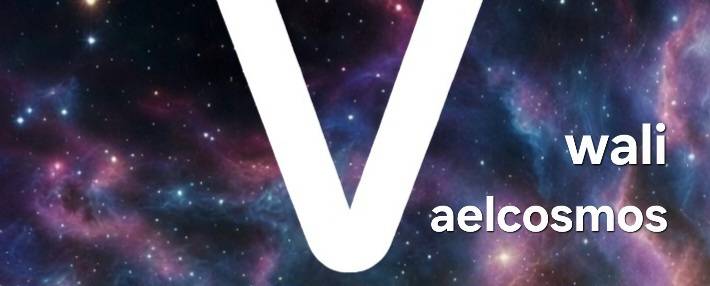 Vaelcosmos Life